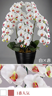 造花胡蝶蘭5本立て 白×赤