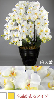 造花胡蝶蘭5本立て 白×黄