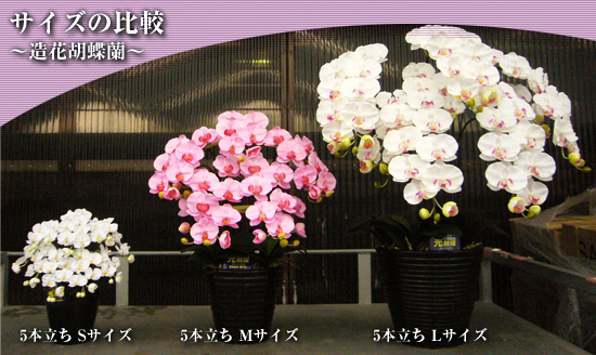 造花胡蝶蘭5本立てのサイズ比較